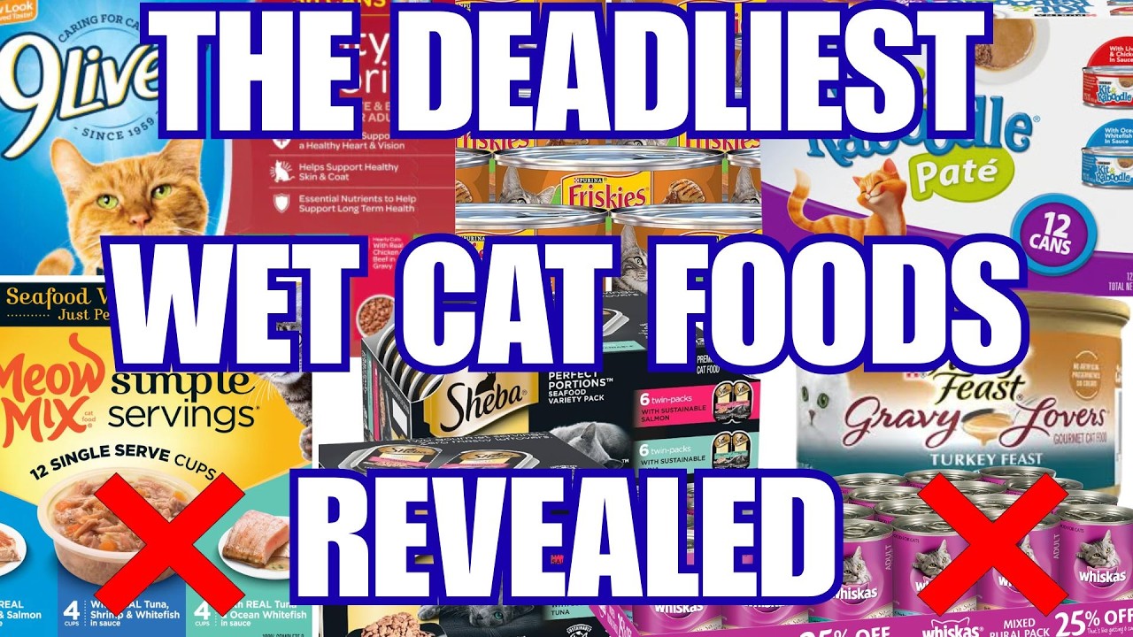 DON’T Give Your Cat These 8 Wet Foods (And 4 That Are Actually Safe)