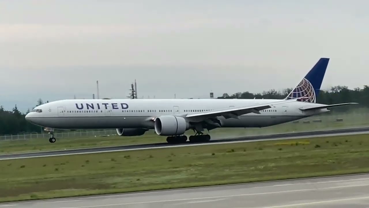 Planespotting at Frankfurt Airport (FRA) | Runway Northwest | morning traffic
