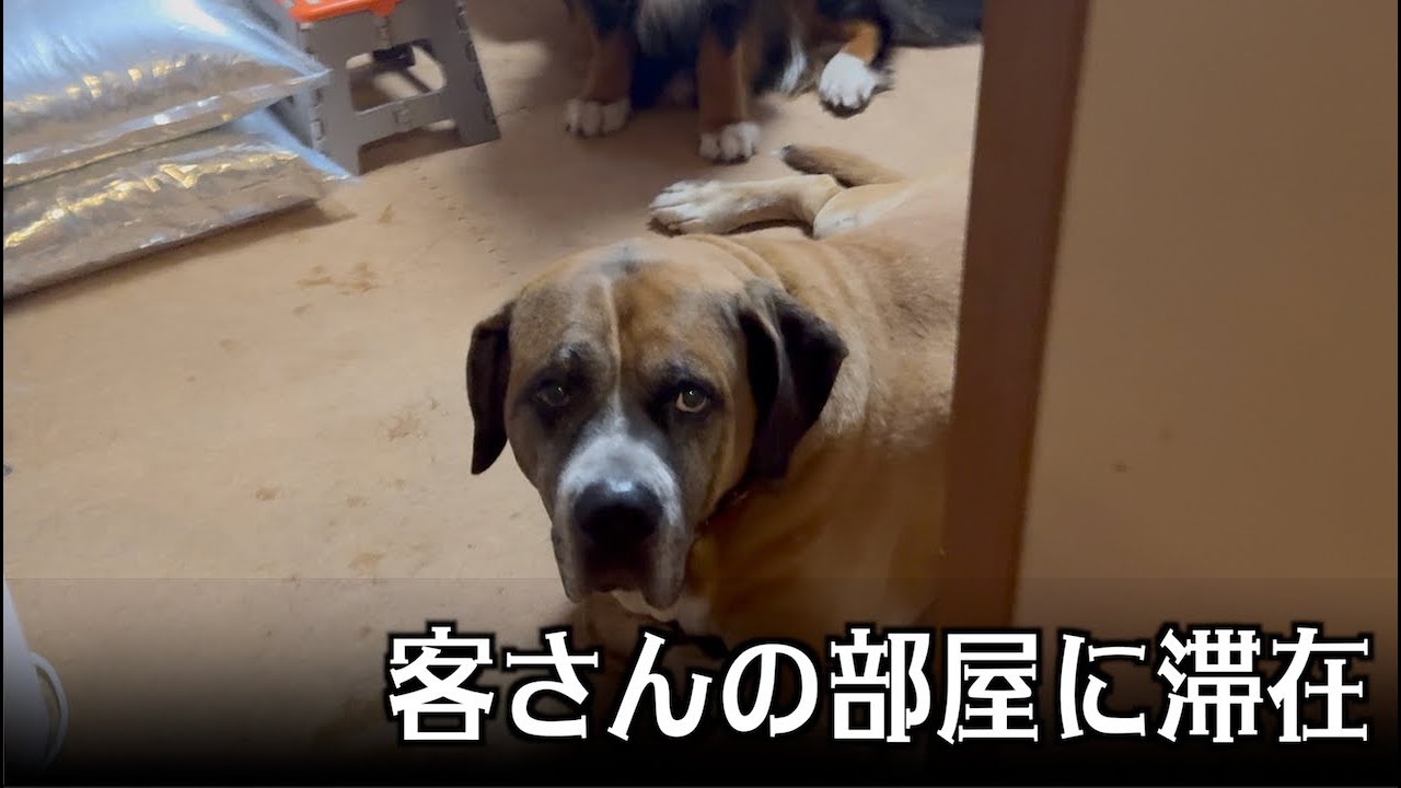 なぁ子部屋で屁をこくな！