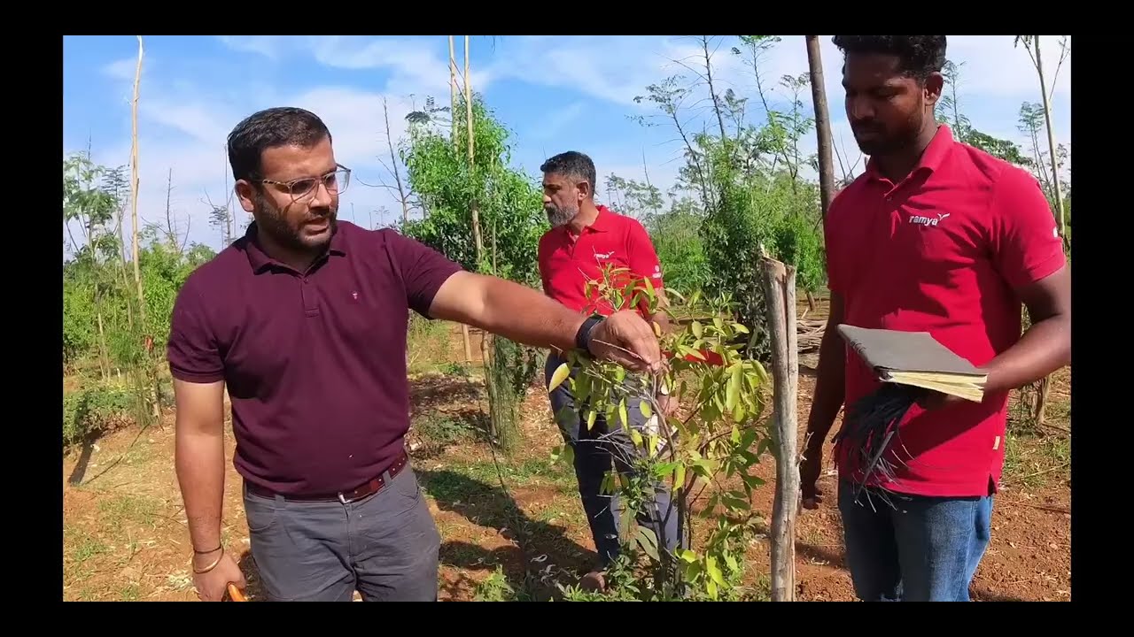 ರೈತರಿಂದ ಹೆಚ್ಚು ಕೇಳಲಾಗುವ ಪ್ರಶ್ನೆಗಳು | Most Asked Question for Sandalwood Plantation -  DARVI GROUP