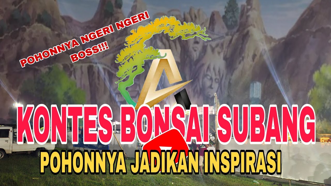 KONTES BONSAI SUBANG ❗️POHONNYA NGERII2 ❗️❗️