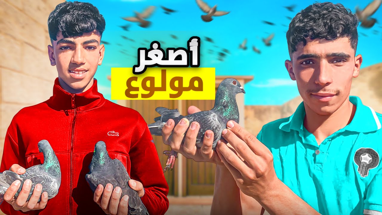 حياة مولوع: توليعة في الحمام الزاجل🕊️زيارت أصغر مولوع😍