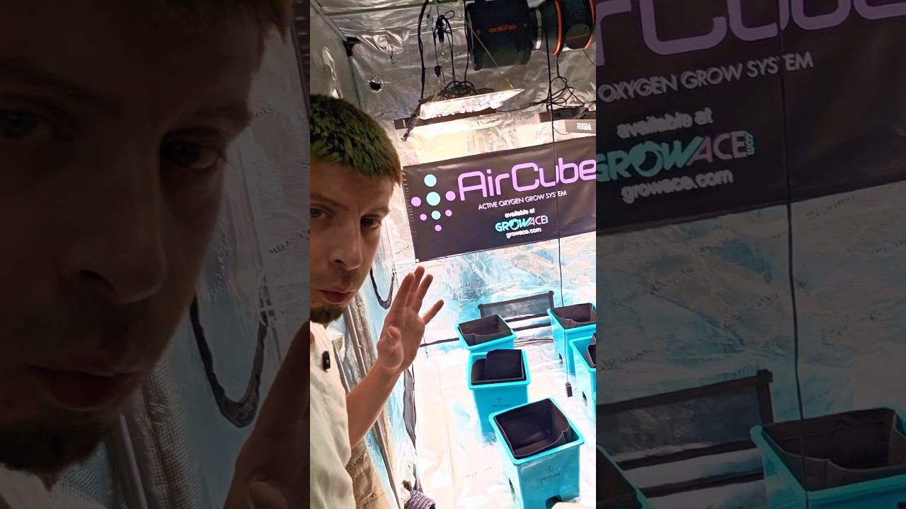 как работает система Air Cube от Grow Ace
