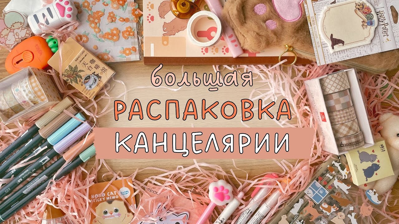 БОЛЬШАЯ РАСПАКОВКА КАНЦЕЛЯРИИ | Что купить на StationeryPal для оформления ежедневника?