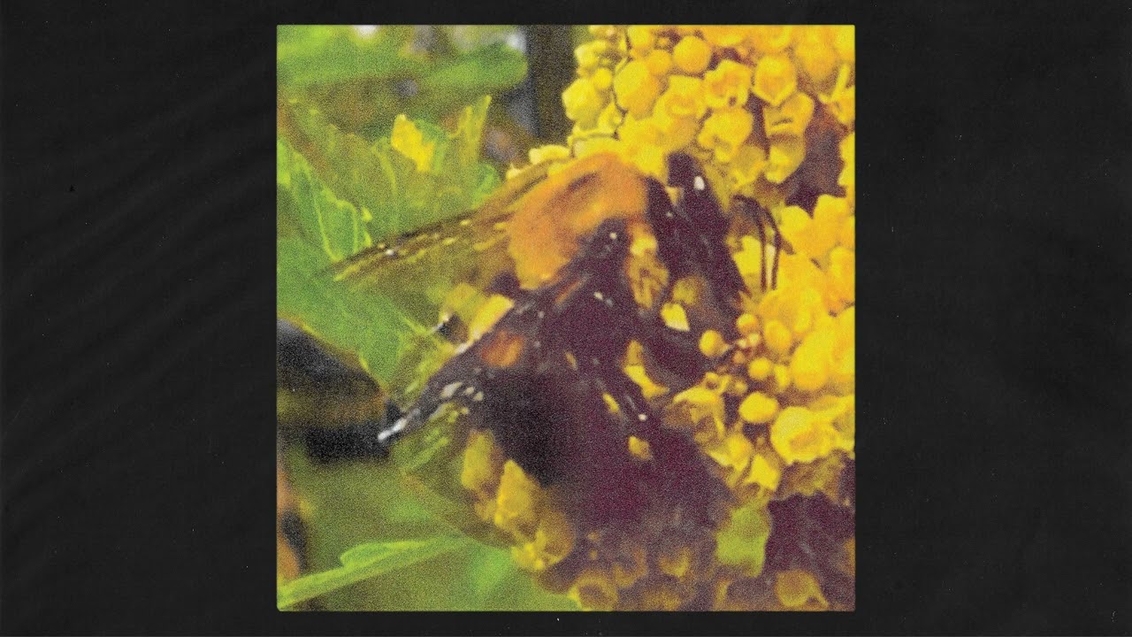 Broncho - 