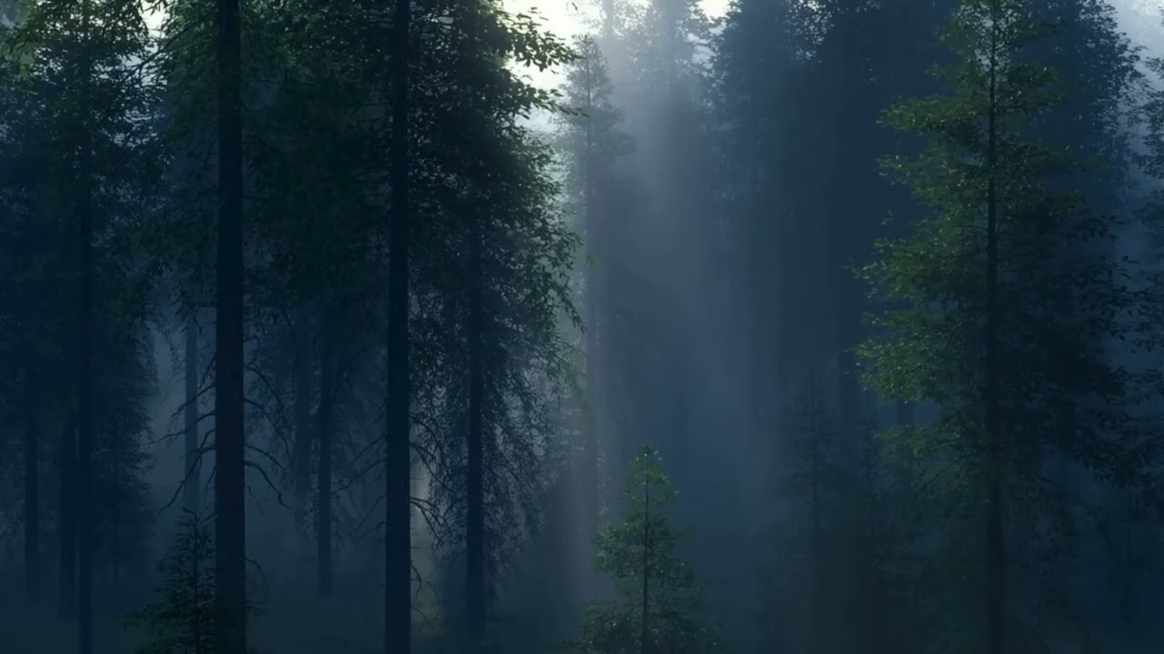 Night Forest Rain Sounds for Sleep | Calm Mind, Deep Rest