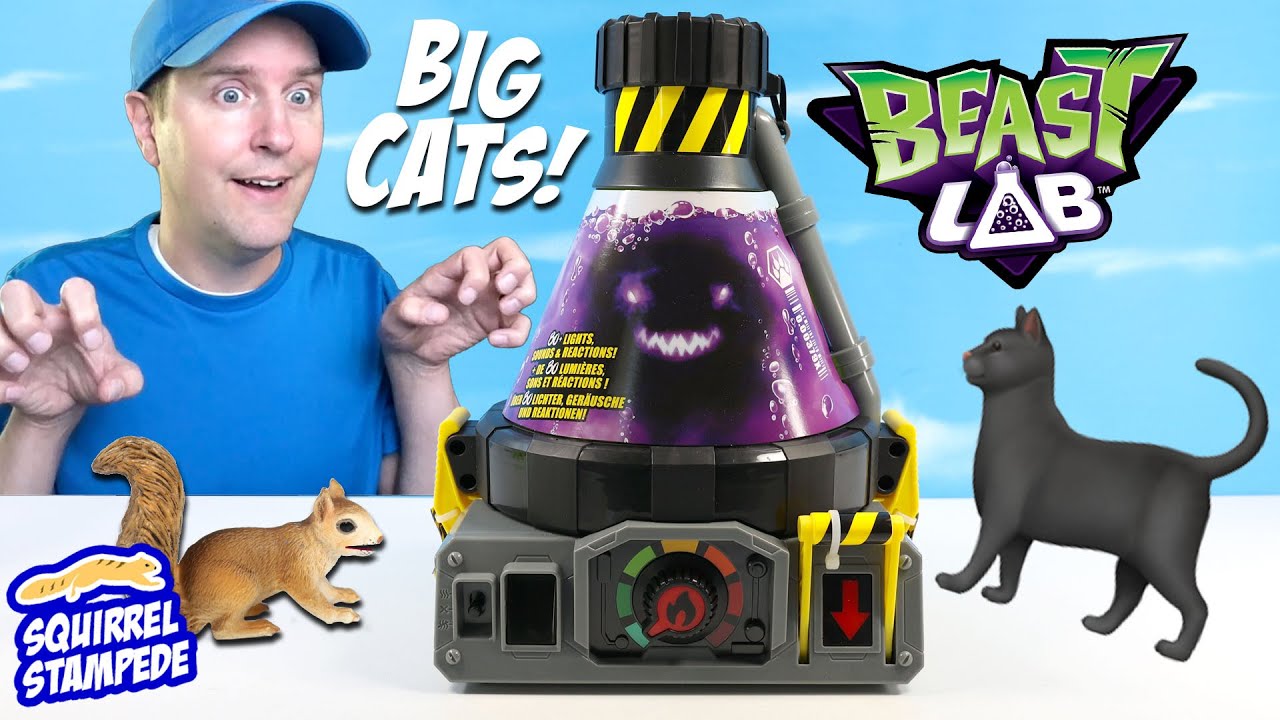 Обзор набора для экспериментов Beast LAB Stealth Strike Cat Out of the Box Squirrel Stampede