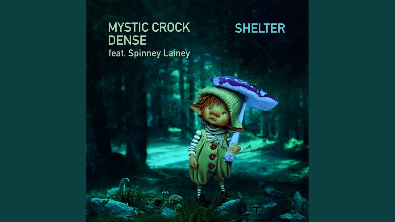 Shelter