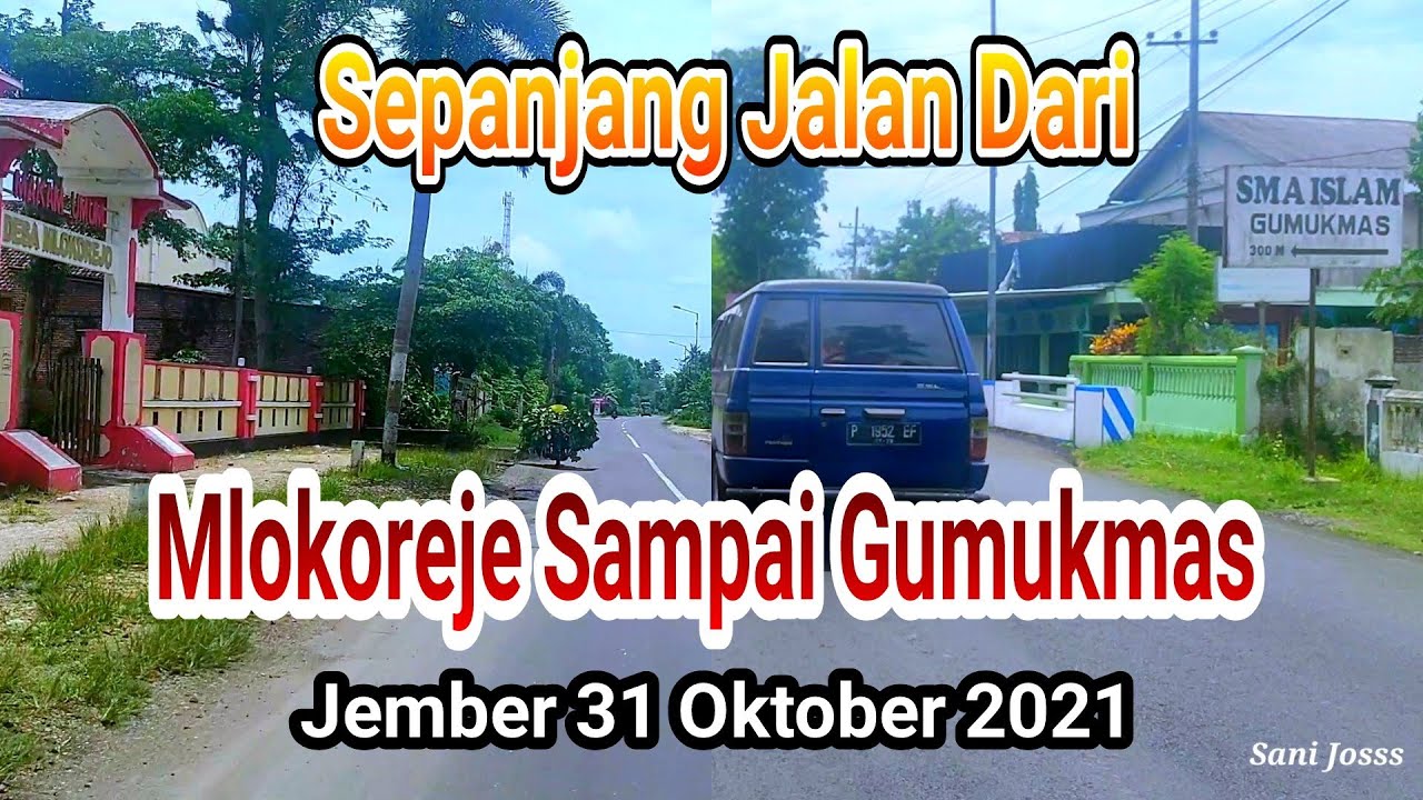 Sepanjang Jalan Dari Mlokorejo Sampai Gumuk Mas, Jember 31 Oktober 2021