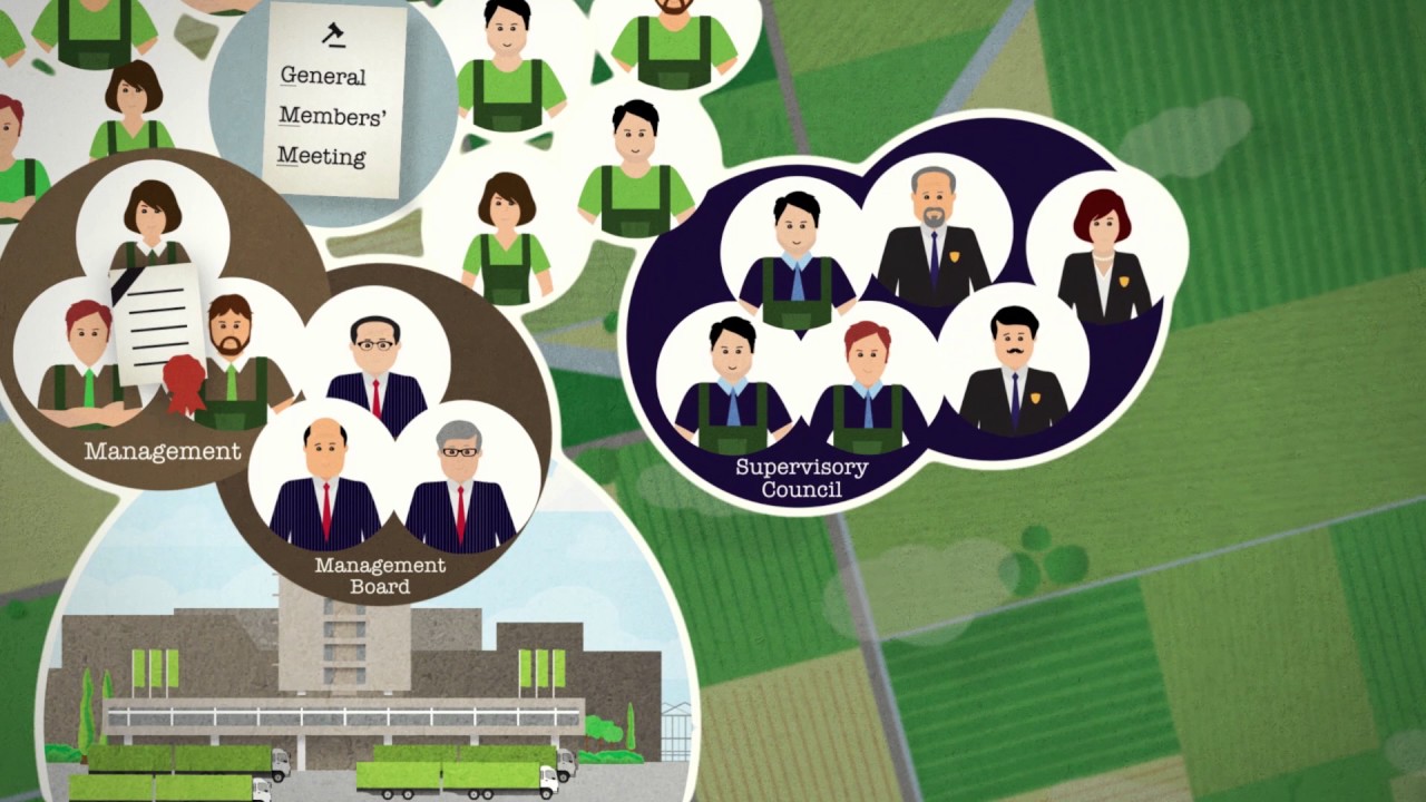 Animation Corporate Governance (English)