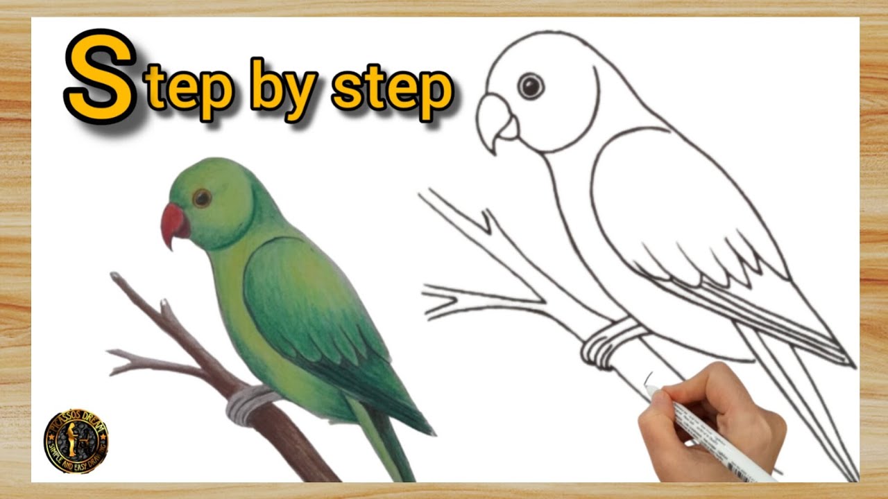 Easy parrot drawing tutorial for beginners