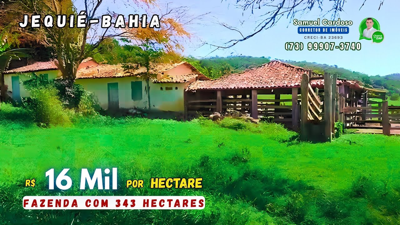ACEITA PROPOSTA, 343 HA, FAZENDA DE Dupla Aptidão, R$ 16 mil/HA, 85% mecanizável. TERRA BOA DEMAIS!
