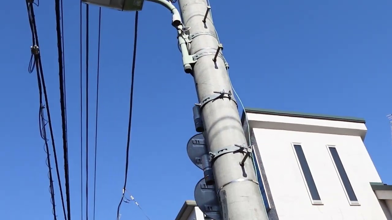 犬のかがやきは2025年に置いていく