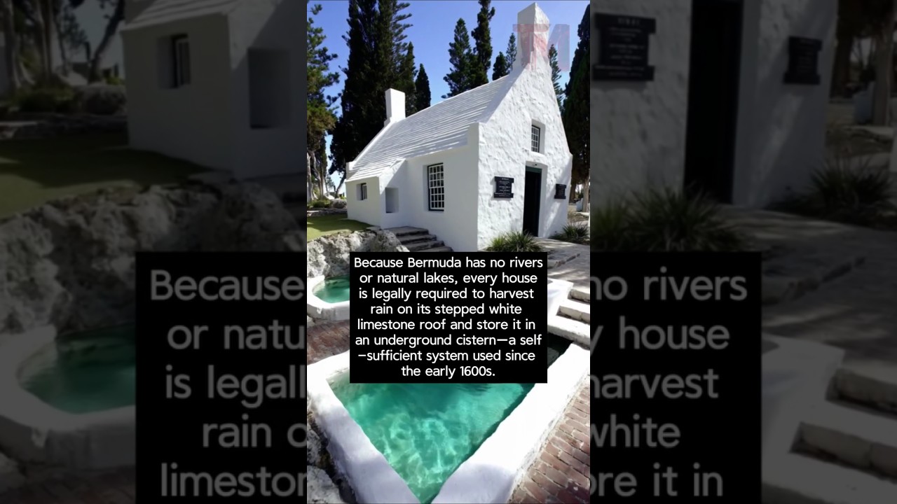 Bermuda's White Roofs: 400 Years of Drinkingthe Sky #Bermuda Roof #Rainwater Harvesting#Island