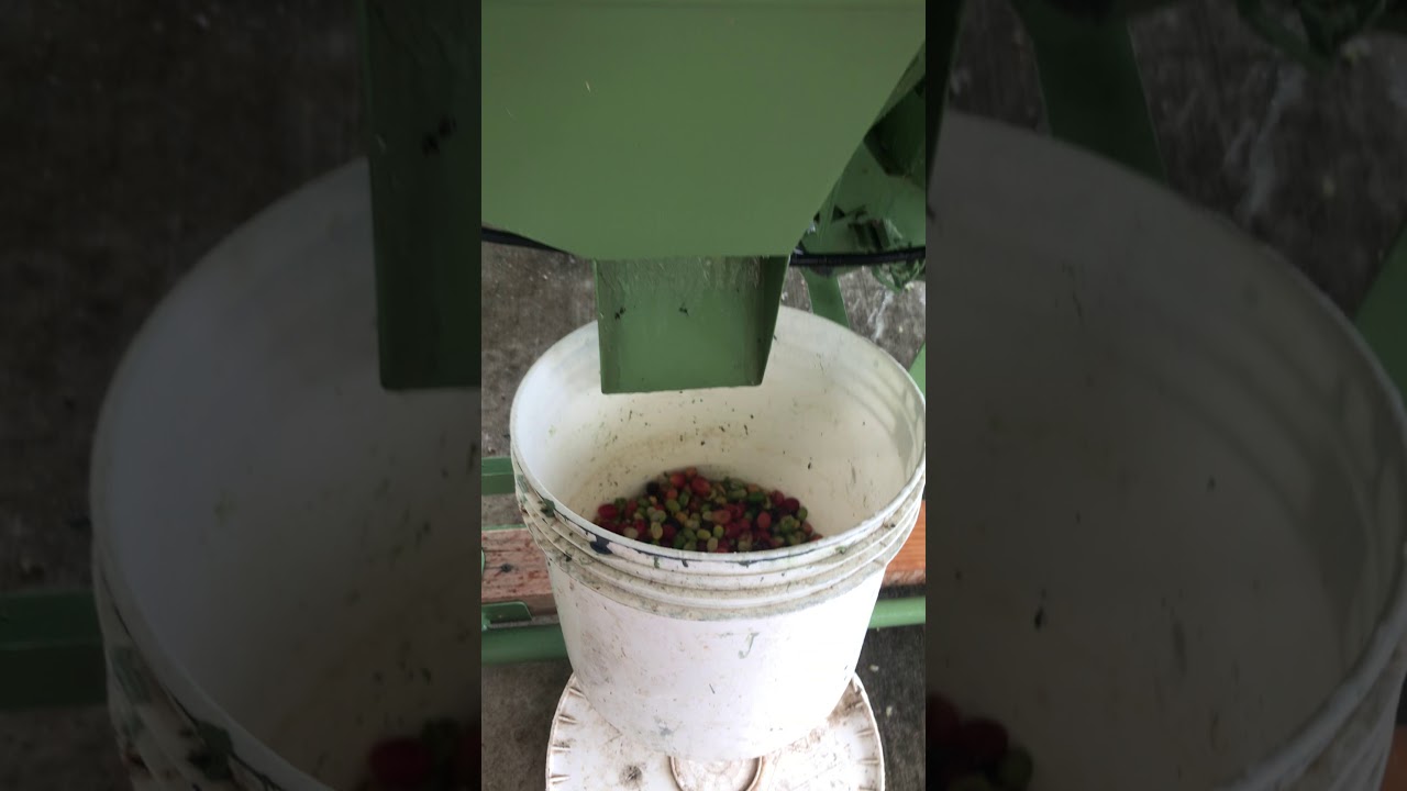 Coffee Processing - Wet Mill in Action!