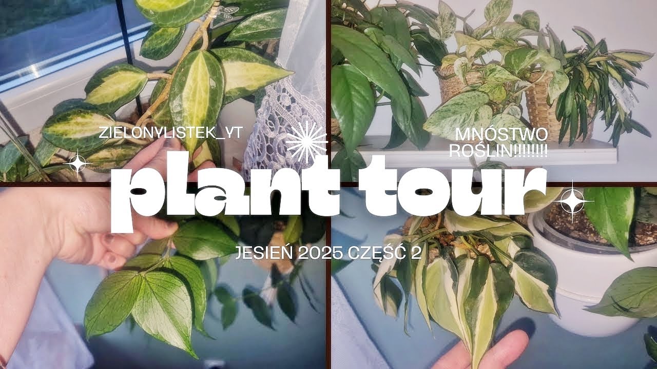 Jesienny przegląd roślin część 2 * PLANT TOUR * reszta domu * jak to teraz wszystko wygląda...