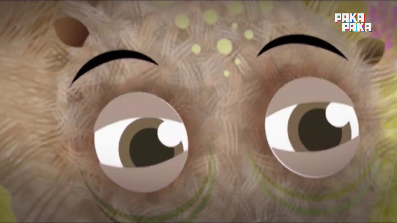 Taller de historias: La leyenda del oso hormiguero - Pakapaka