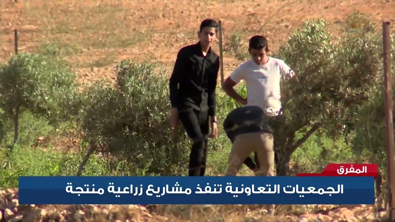 الجمعيات التعاونية تنفذ مشاريع زراعية منتجة