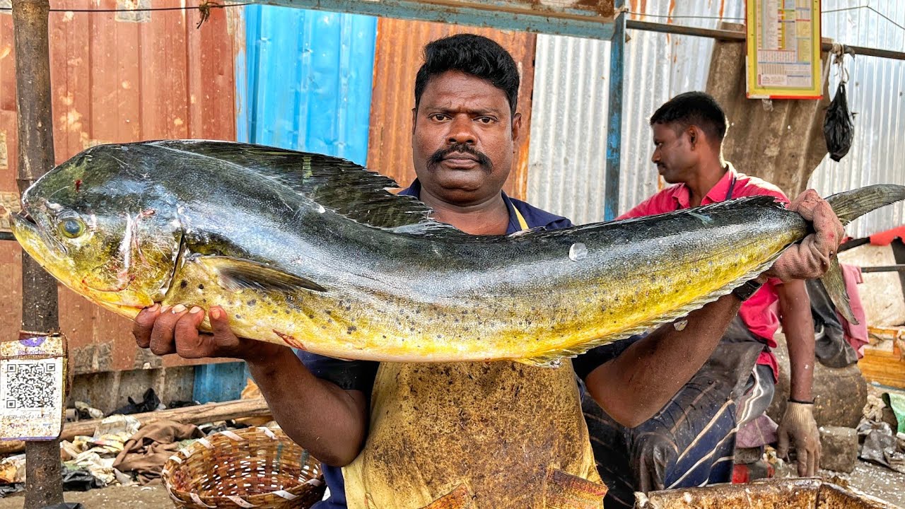 KASIMEDU 🔥 SPEED SELVAM | BIG MAHI MAHI FISH CUTTING VIDEO | 4K VIDEO | KM FISH CUTTING