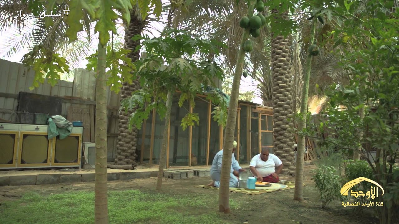 مسلسل برواز I حلقة النخل
