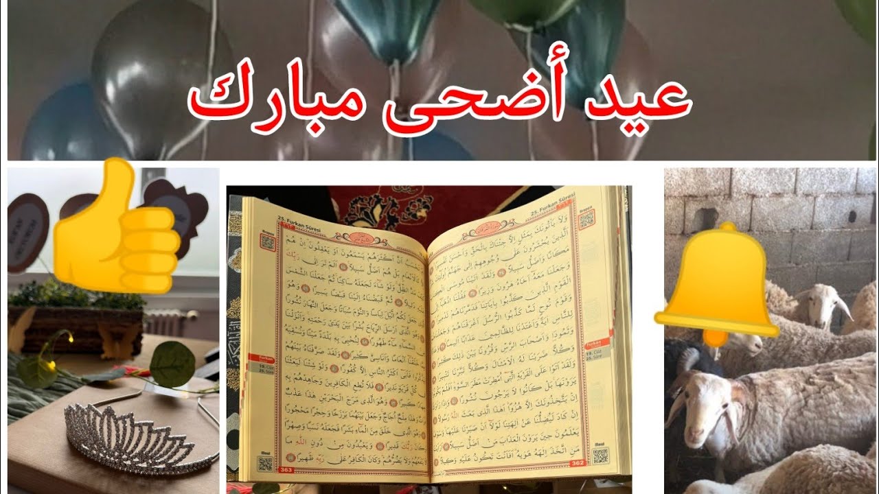 مقتطفات من عيد الأضحى المبارك 🥰🐑عيد مبارك وكل عام وانتم بخير 🎊🎊🎊🔔👍👍