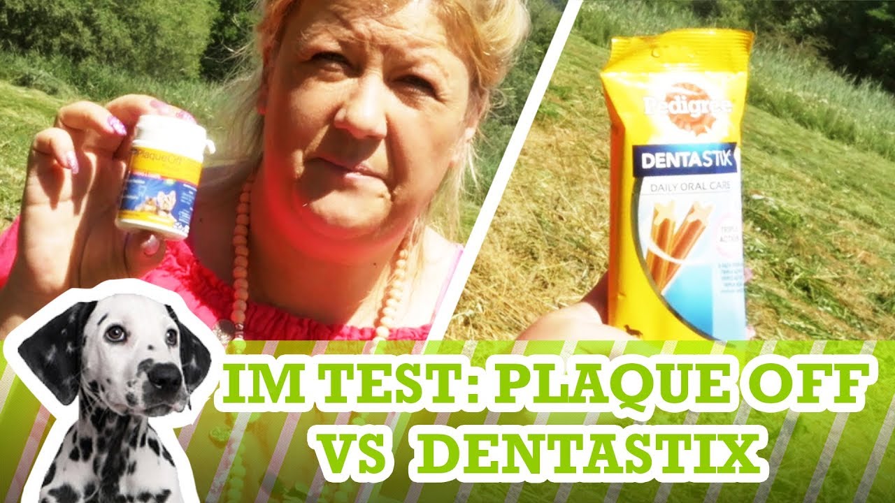 Hunde-Zahnpflege: PlaqueOff VS DentaStix von Pedigree - Vergleichstest