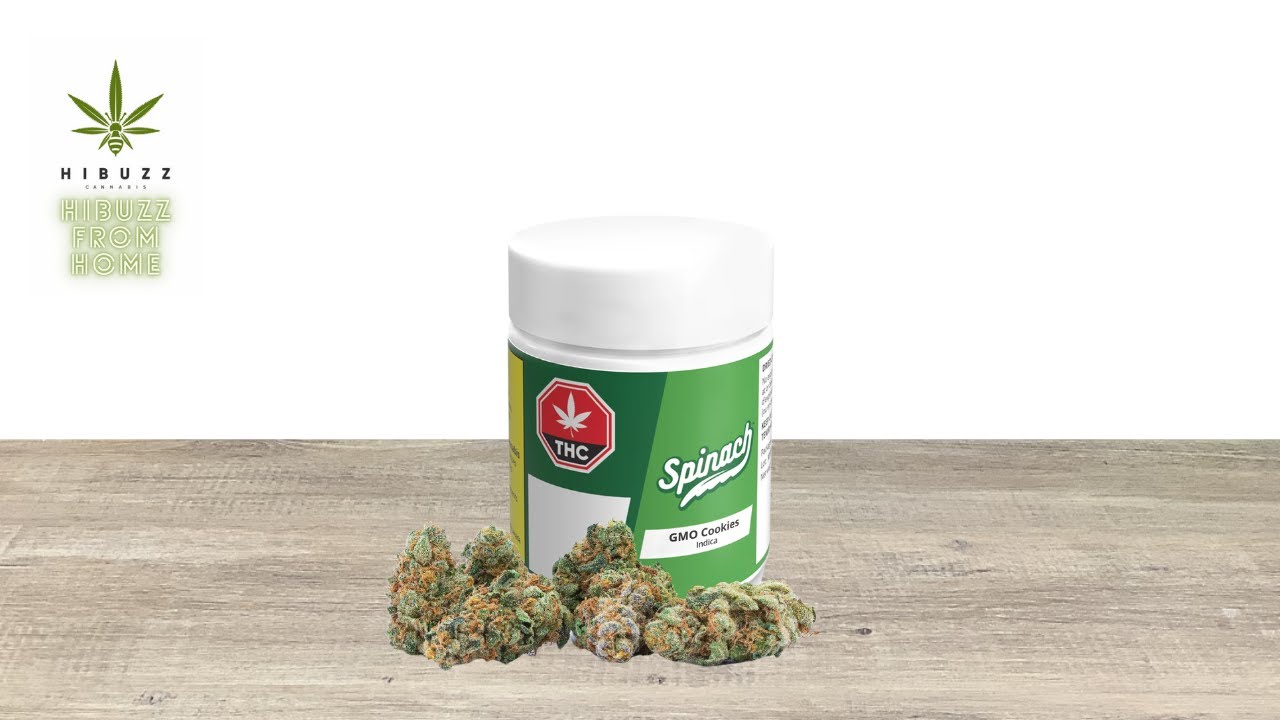Hibuzz From Home Ep. 50! : Spinach GMO Cookies (LEGAL OCS CANNABIS REVIEW)