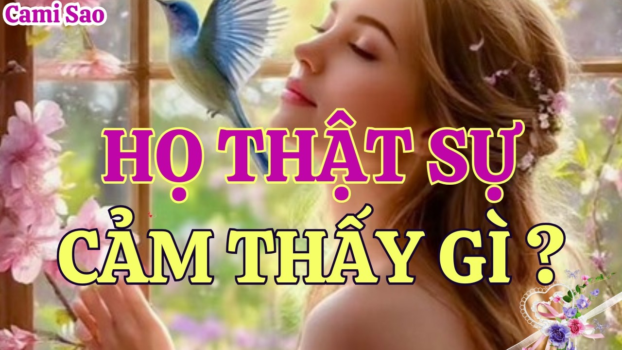 Tarot Tình Cảm | Cảm Xúc Chân Thật Của Người Ấy Dành Cho Bạn Ngay Lúc Này