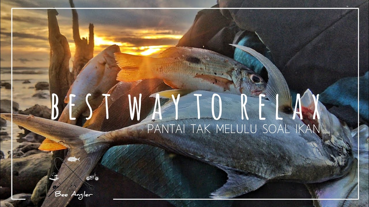 Fishing On Crystal Clear Water - Mancing Pinggiran Disarang Ikan PREDATOR Pantai