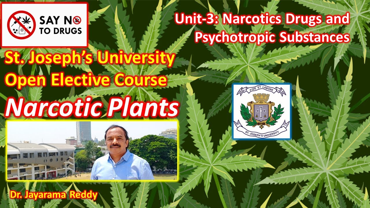 Narcotics| Drugs| Opium| Heroin| Cannabis| LSD| Hashish| Morphine| Cocaine|Marijuana| Ganja| Bhang