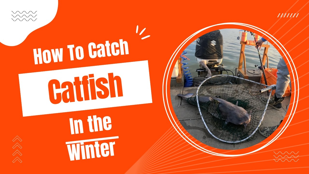 How to Pattern Catfish in the winter on High Rock Lake