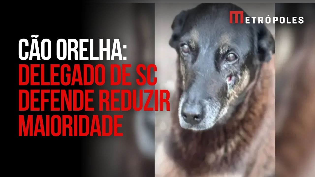 Cão Orelha delegado do caso defende a diminuição da maioridade penal