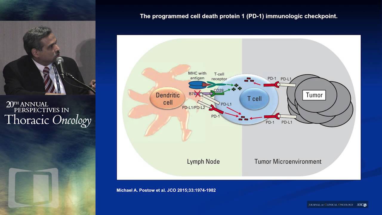Targeting the immune system with checkpoint inhibitors