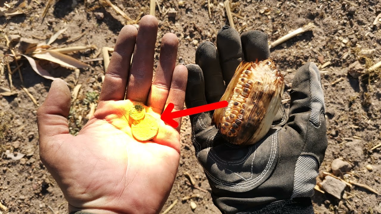 Encontré Monedas Antiguas Usadas Hace 200 Años en una Hacienda de Jalisco!