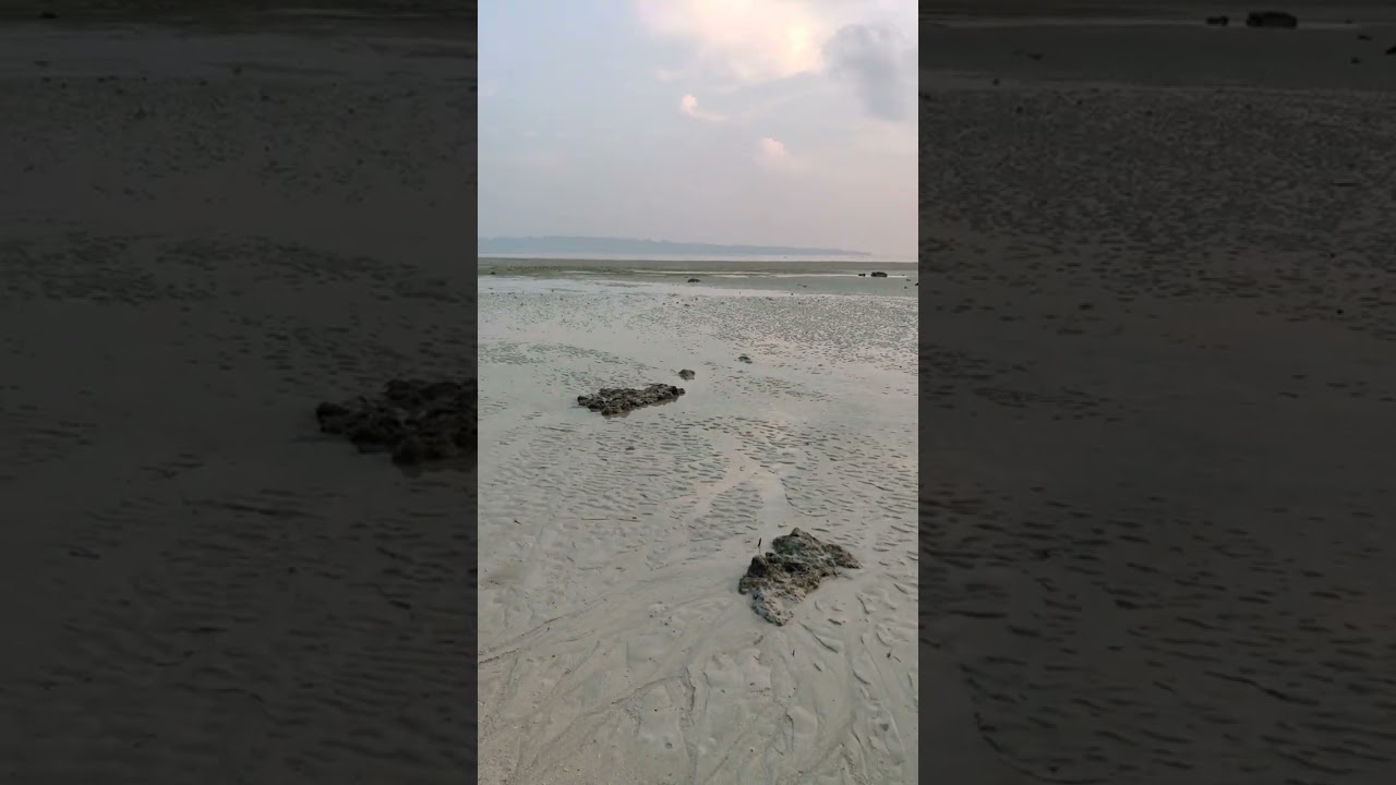 low tide and high tide in Havelock Island 