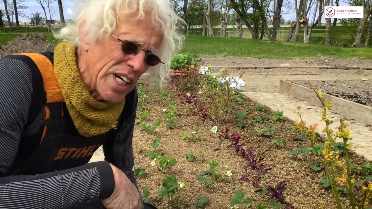 GROENTETUIN AANLEGGEN | deel 1