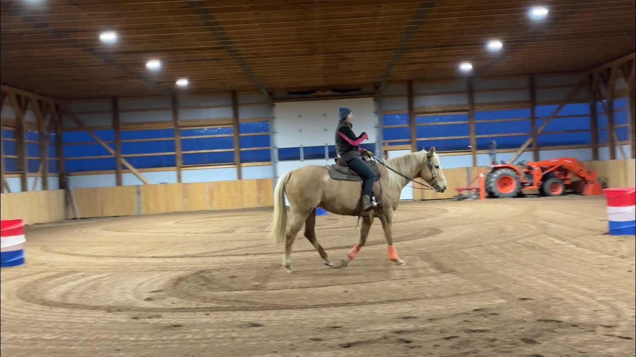 Learning the Barrel Racing Basics - Jets Journey (1.5 months)