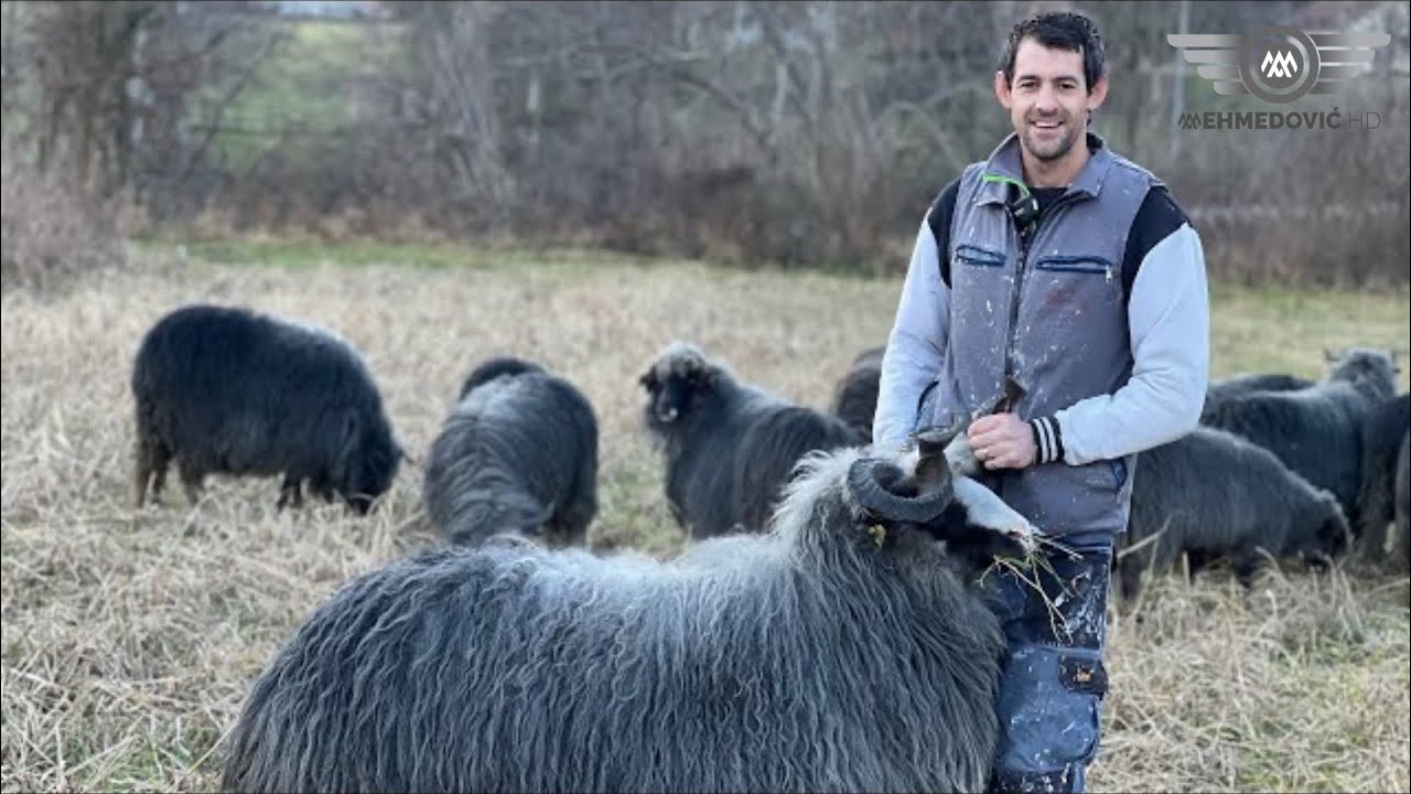 OD DJEČIJEG DOPLATKA UZEO PRVA JANJADI / NAJMLAĐI FARMER U PODRINJU-SEDIN MEHMEDOVIĆ