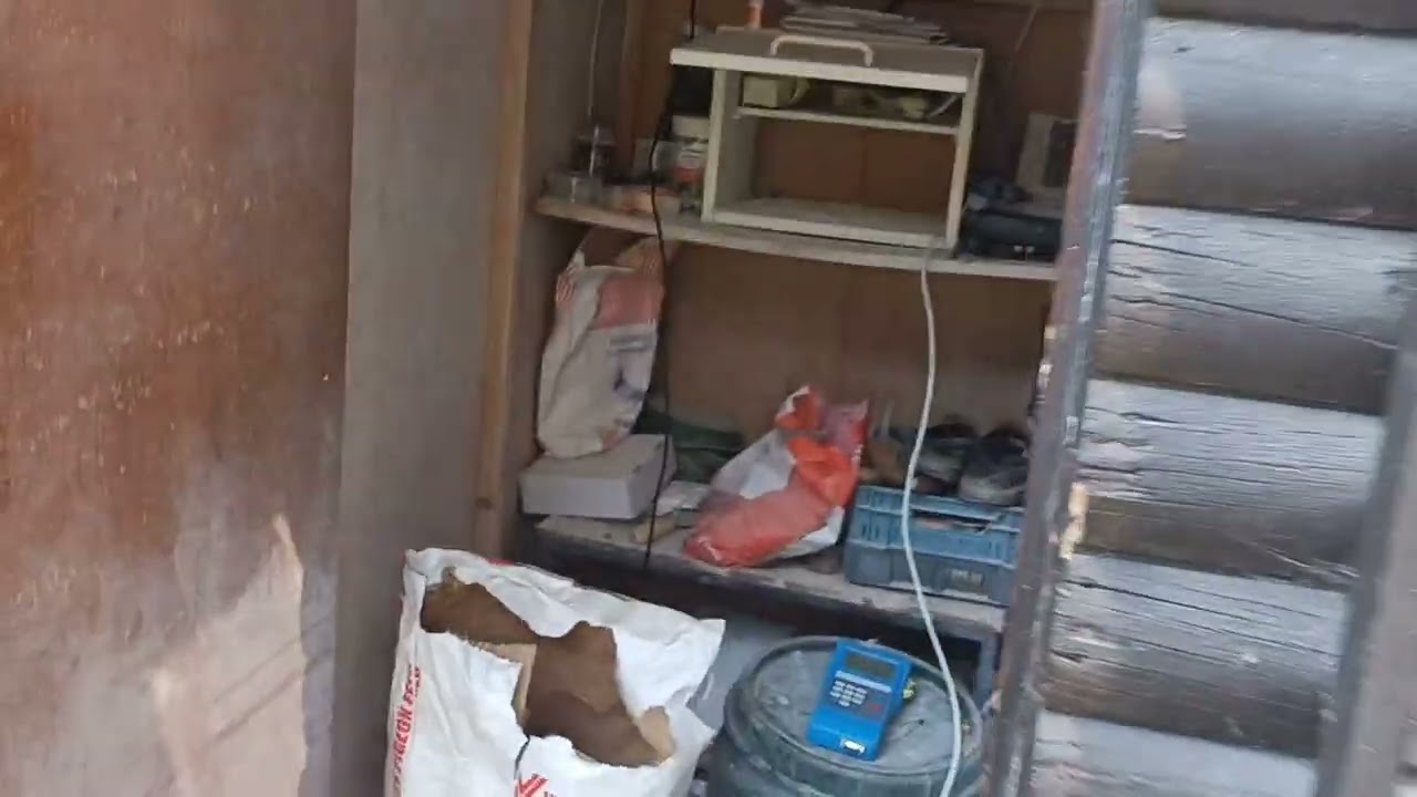 Der 2. Jungflug 2022 / 2. pigeon youngsters race