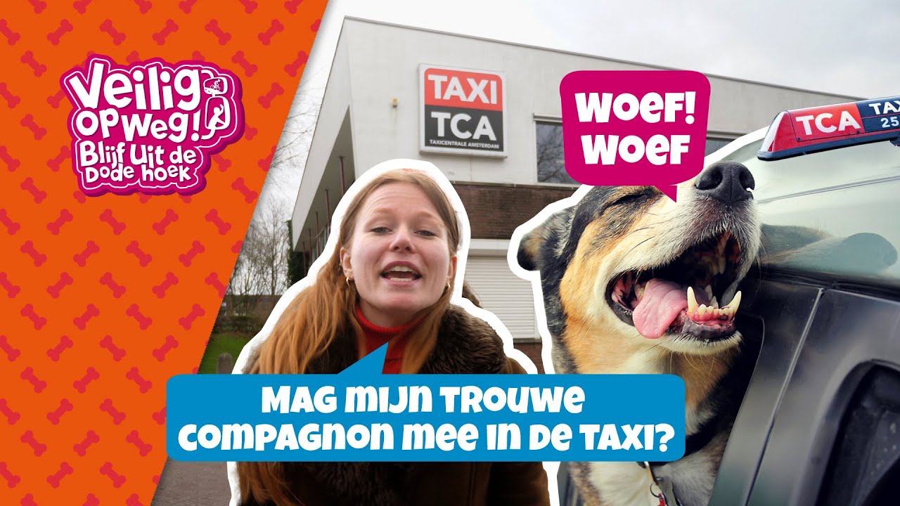 ANGIE GAAT OP BEZOEK BIJ TCA - TAXI CENTRALE AMSTERDAM | VEILIG OP WEG! BLIJF UIT DE DODE HOEK