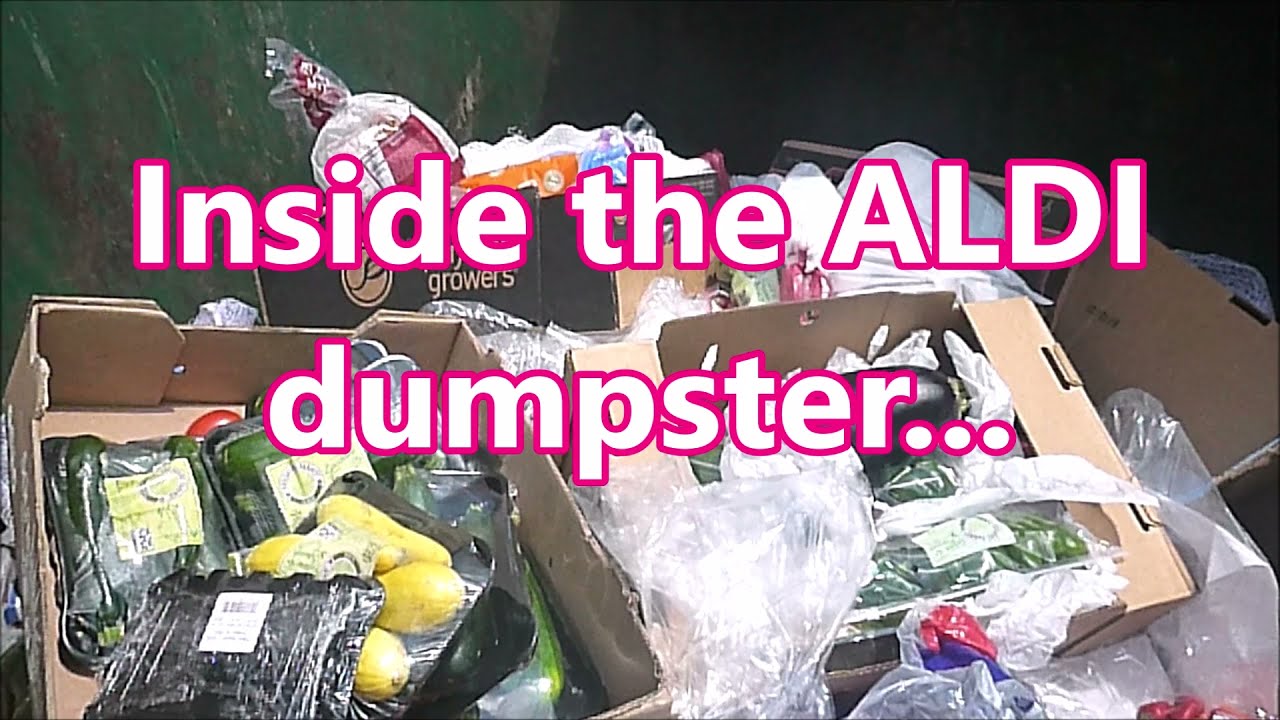 SUPERLATIVE DUMPSTER DIVING FOR A GROCERY MEGA HAUL! COM EINSIDE THE ALDI DUMPSTER WITH US! #freegan