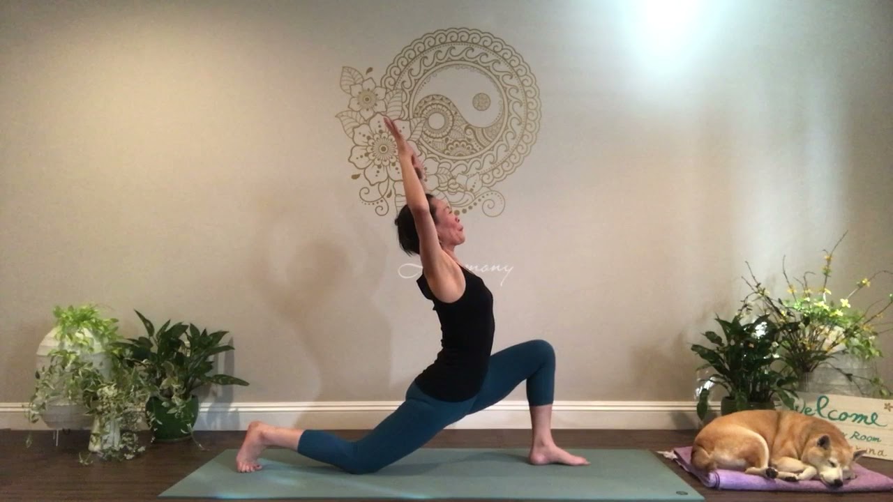 Morning yoga☀️  スローヴィンヤサフロー
