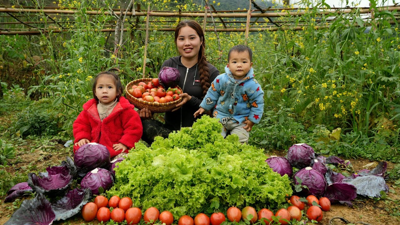 Harvest a general vegetable garden and sell it at the market -cook porridge for your children to eat