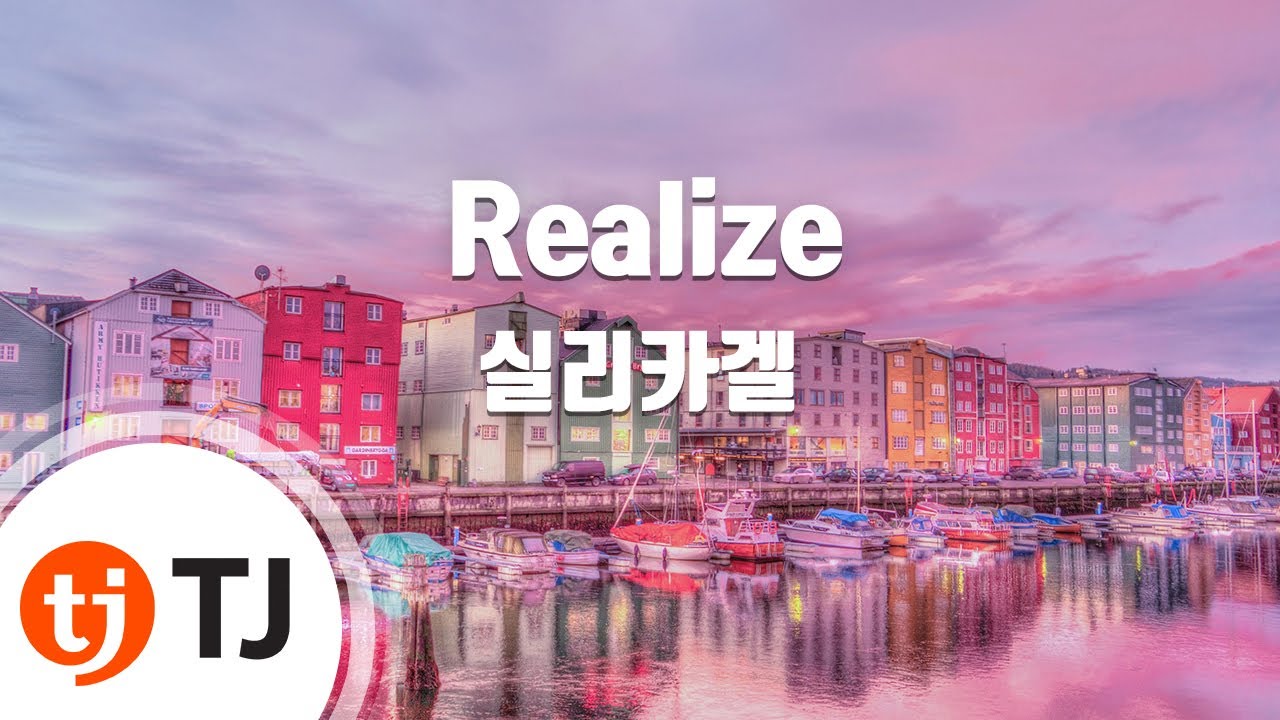 [TJ노래방] Realize - 실리카겔 / TJ Karaoke