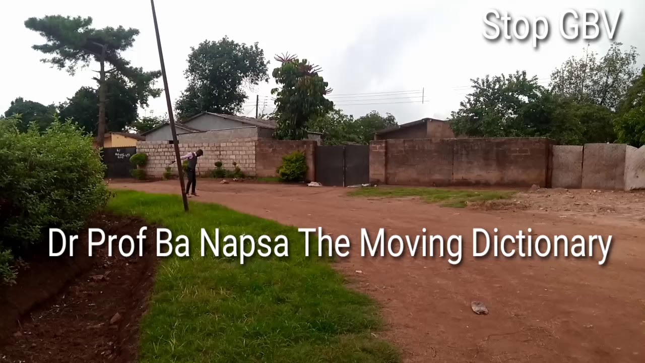 Dr Prof Ba Napsa The moving dictionary ours 10 gallons of English grammar on young couple🤣🤣