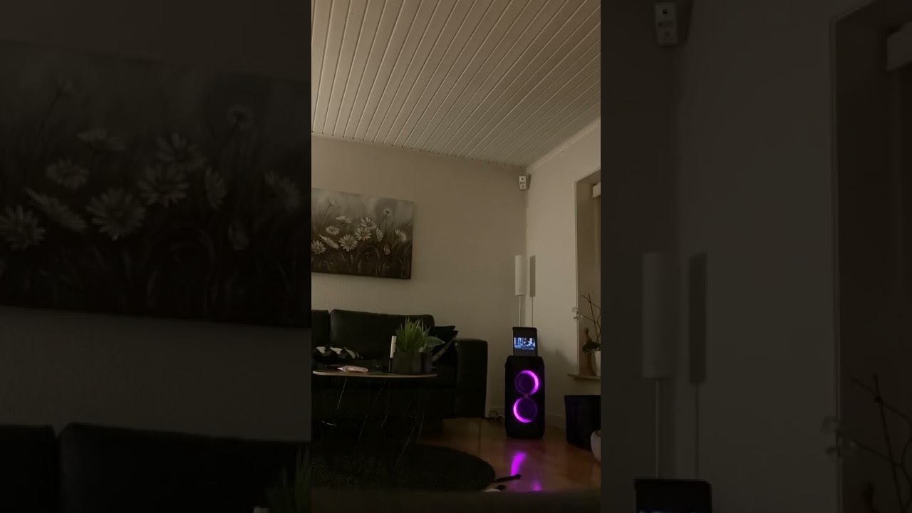 JBL PARTYBOX 100 BASS TEST