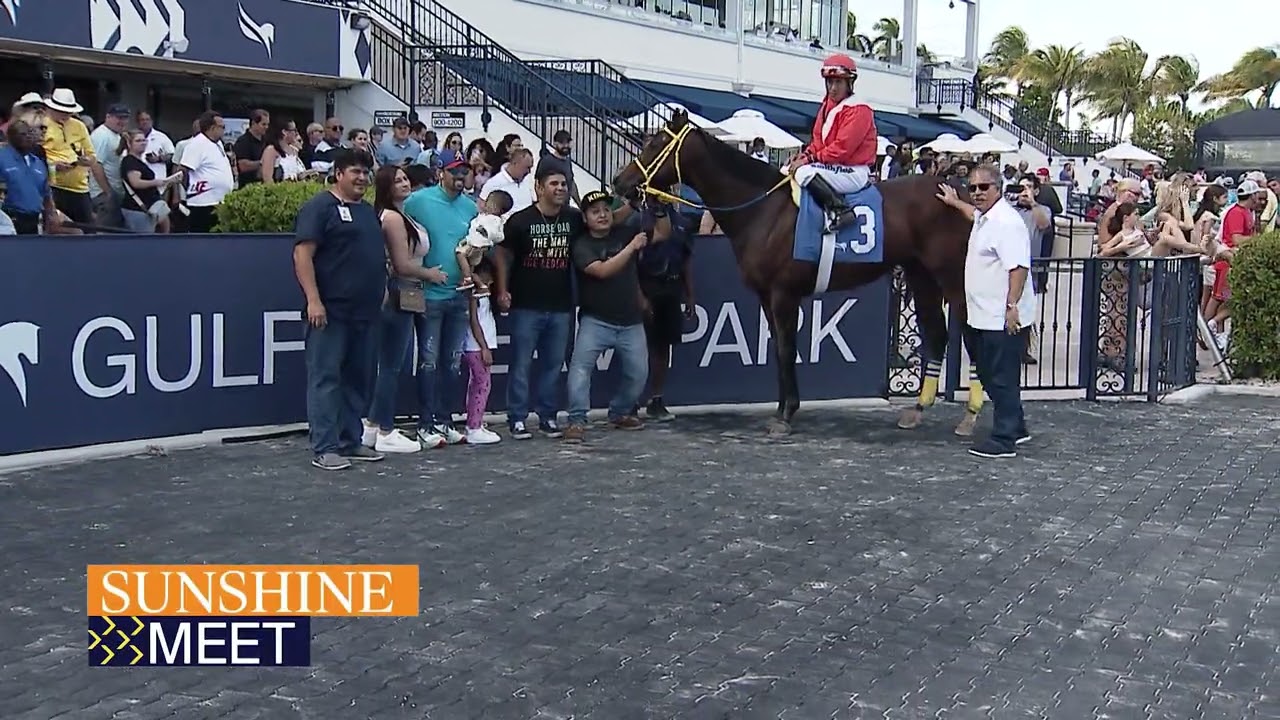 Gulfstream Park Replay Show | October 28, 2023