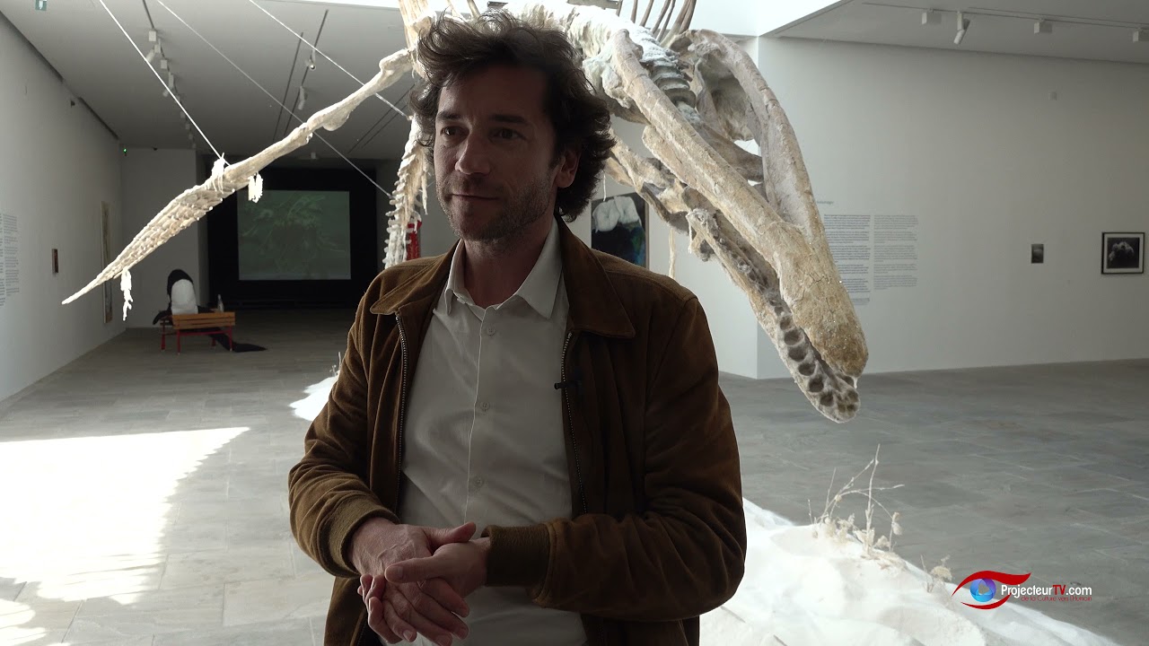 La Mer Imaginaire - Fondation Carmignac