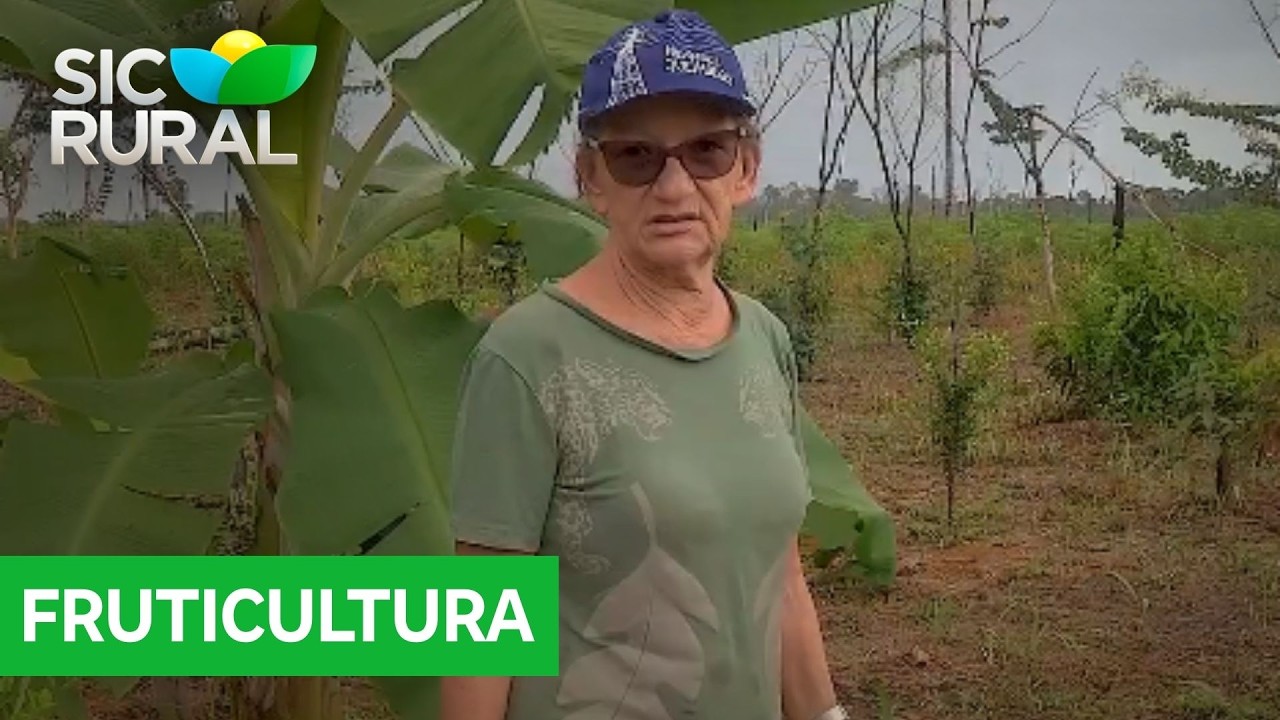A história de Dona Onça, produtora rural que cultiva diversas plantas e frutas