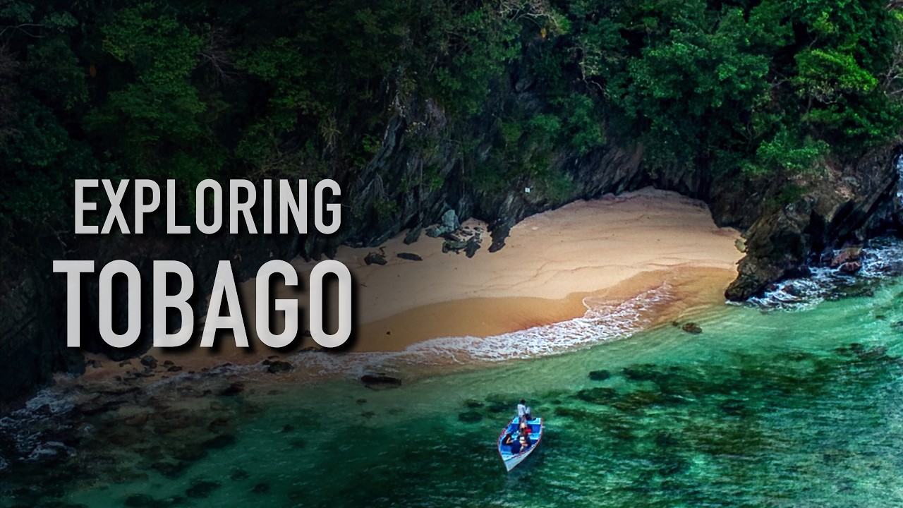 Tobago Travel Guide | A Month in a Caribbean Paradise